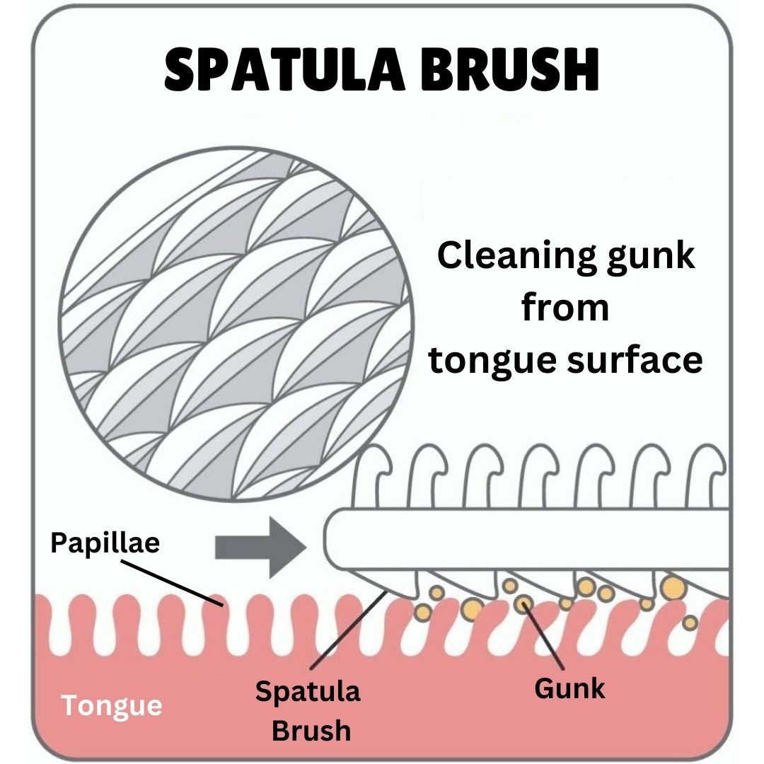 Matsumoto Mold Tsunami Tongue Cleaner